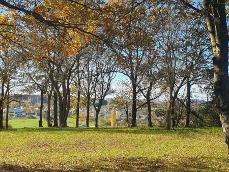 Maison en pierre rénovée avec jardin à Chooz, près de la Meuse : photo 38