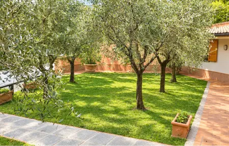 Maison rustique avec piscine privée près de Camaiore, Toscane : photo 10