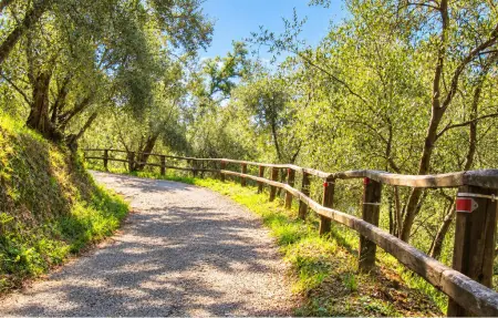 Maison de 160 m² avec piscine privée à Camaiore, Toscane : photo 7