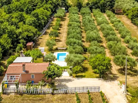 Maison Oliveto avec piscine privée à Marčana, Istrie : photo 1