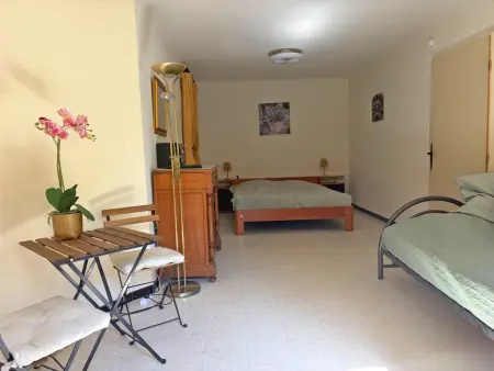 Enniroc, maison avec piscine privée et jardin à Nyons : photo 20