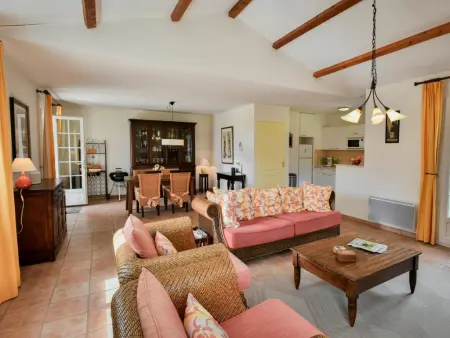 Maison Vieille Vigne 30 : jardin privé et cheminée à Vasles : photo 14