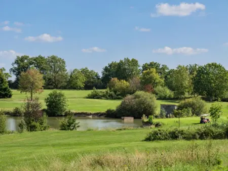 Maison Vieille Vigne 30 : jardin privé et cheminée à Vasles : photo 28