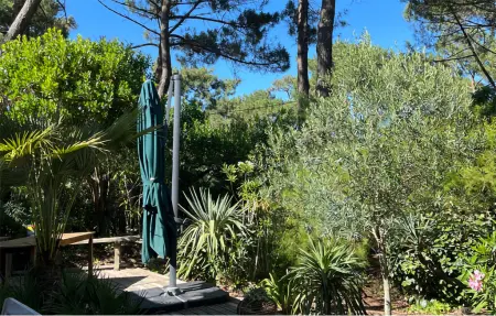 Maison d'architecte en bois à 200 m de la plage, Cap Ferret : photo 12