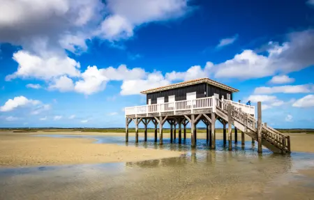 Maison d'architecte en bois à 200 m de la plage, Cap Ferret : photo 33