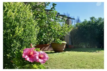 Appartement 2 pièces avec piscine à Populonia, près de la plage : photo 4