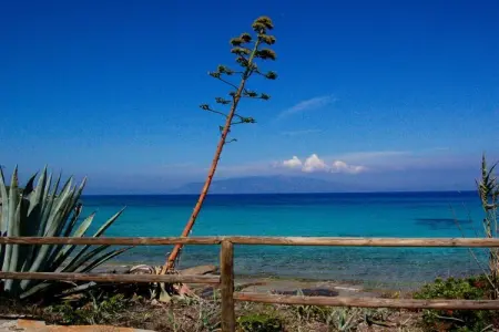Appartement 2 pièces avec piscine à Populonia, près de la plage : photo 16