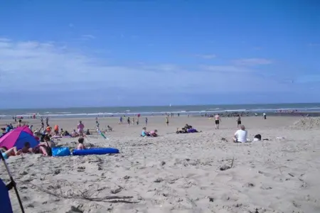Maison 3 chambres à Bredene, plage à 800 m, terrasse plein sud : photo 14