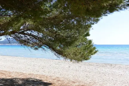 Maison 2 chambres à Puerto Alcudia avec vue sur le lac Esperanza : photo 21