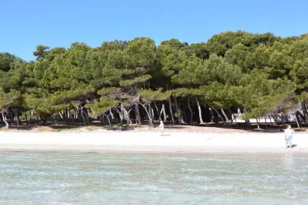 Maison 2 chambres à Puerto Alcudia avec vue sur le lac Esperanza : photo 23