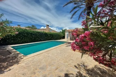 471806, Maison cuatro palmeras : photo 4