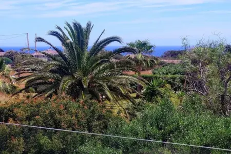 471806, Maison cuatro palmeras : photo 12