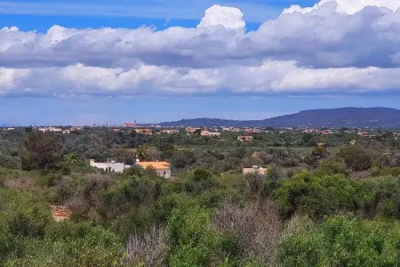 471806, Maison cuatro palmeras : photo 15