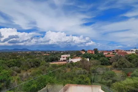 471806, Maison cuatro palmeras : photo 16