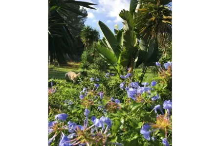 Finca avec piscine et jardin à Berlin, pour 3 personnes : photo 10