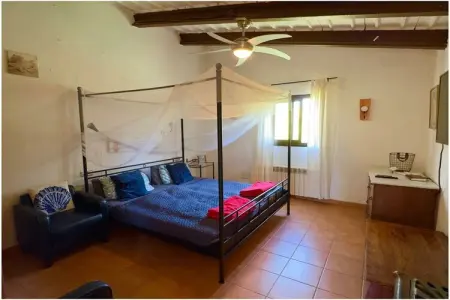 Finca avec piscine et jardin à Berlin, pour 3 personnes : photo 26