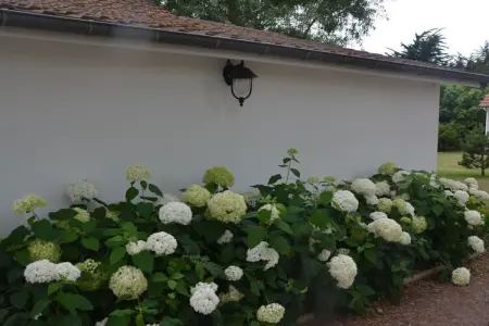 Maison avec véranda et cheminée, dunes et plage, Bretteville-sur-Ay : photo 7