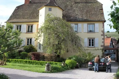 Maison de vacances avec jardin et vignes à Andlau, 6 personnes : photo 3