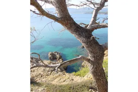 10973, Villa de 4 chambres sur la Côte d'Azur : photo 44