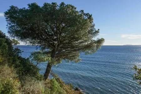 Villa Traumblick avec vue mer panoramique à La Croix-Valmer : photo 30