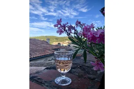 Maison de ville avec terrasse et vue, La Garde Freinet : photo 3
