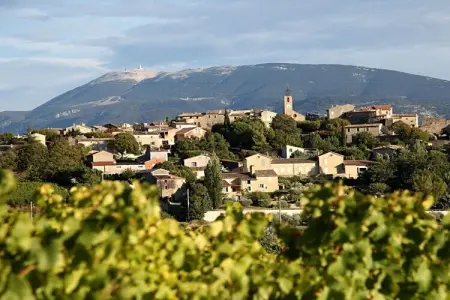 126165, ||------------------------------Balcon du Ventoux-----------------------------------------|| : photo 14