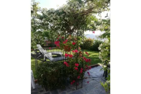 Maison Olimpia : villa avec jardin, vue mer, Imperia : photo 22