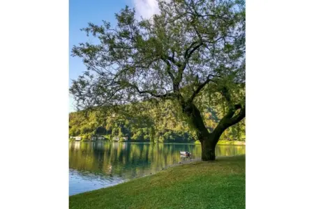 Casa Alberta : maison avec jardin et vue sur Pieve di Ledro : photo 6