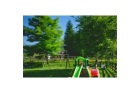 Casa Alberta : maison avec jardin et vue sur Pieve di Ledro : photo 11