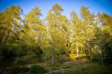 Maison de vacances à Altrei, vue sur la vallée de la Cembra : photo 30