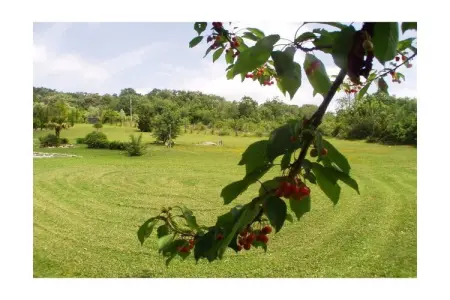 Maison avec piscine et jardin à Monteverdi Marittimo, Toscane : photo 5