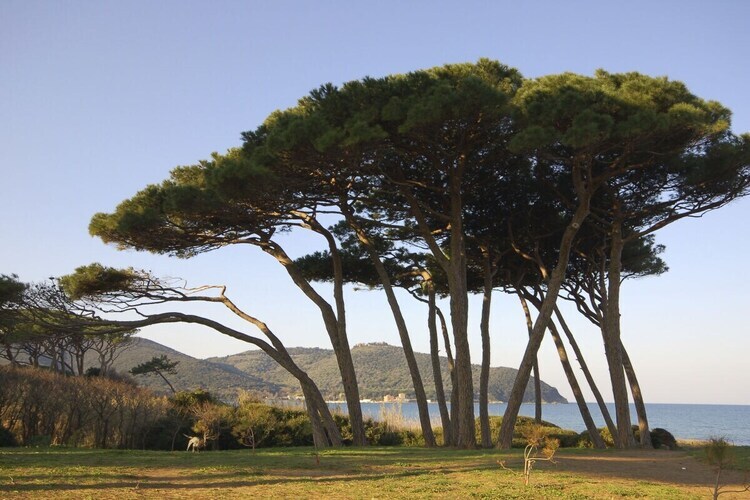 322433, Studio Méditerranée - Photo 19