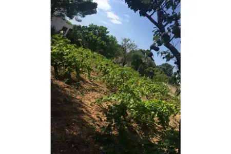 Maison avec piscine privée à Uggiano Montefusco, près de la mer Ionienne : photo 8