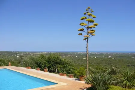 Maison avec vue mer panoramique sur l'Atlantique à Tavira, Algarve : photo 3