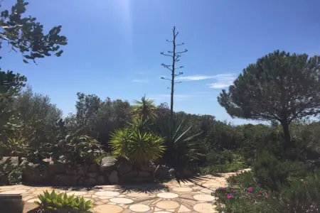 Maison avec vue mer panoramique sur l'Atlantique à Tavira, Algarve : photo 6