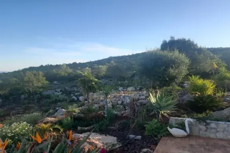 Maison avec vue mer panoramique sur l'Atlantique à Tavira, Algarve : photo 15