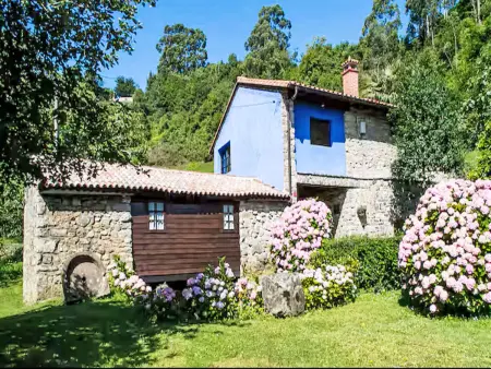Molin de Sotu, gîte de 200 m² avec terrasse à Colunga : photo 2