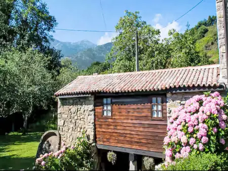 Molin de Sotu, gîte de 200 m² avec terrasse à Colunga : photo 7