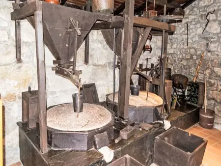 Molin de Sotu, gîte de 200 m² avec terrasse à Colunga : photo 11