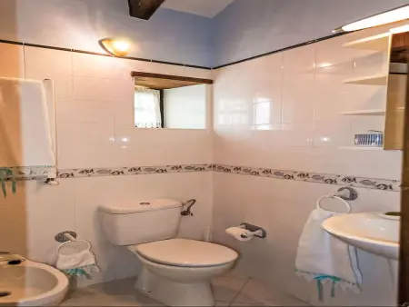 Molin de Sotu, gîte de 200 m² avec terrasse à Colunga : photo 15