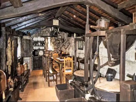 Molin de Sotu, gîte de 200 m² avec terrasse à Colunga : photo 20