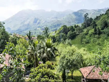 Molin de Sotu, gîte de 200 m² avec terrasse à Colunga : photo 26