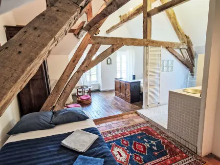 The Mésangerie : maison 6 chambres avec jardin à Saint-Satur : photo 2