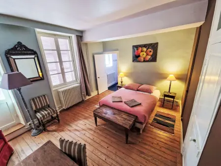 The Mésangerie : maison 6 chambres avec jardin à Saint-Satur : photo 6