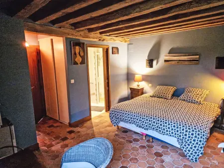 The Mésangerie : maison 6 chambres avec jardin à Saint-Satur : photo 17