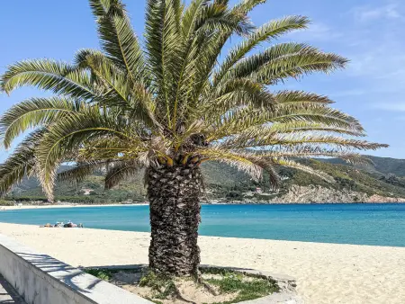 Casa Neptune, villa avec piscine et vue mer à Portoferraio : photo 6