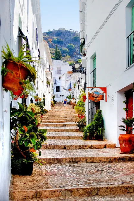 Viñasol, appartement 3 pièces avec vue mer à Frigiliana : photo 18
