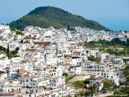 Viñasol, appartement 3 pièces avec vue mer à Frigiliana : photo 19