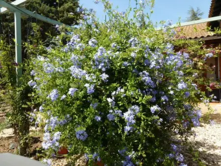 Appartement de 50 m² avec piscine privée à Rustrel, Provence : photo 28