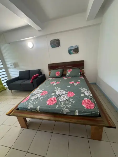 Appartement 26 m² avec terrasse privée au Marigot, Martinique : photo 3